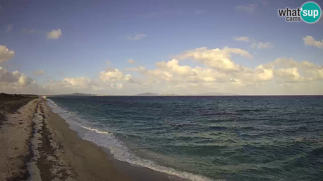Plaža Le Saline spletna kamera Stintino – Sardinija