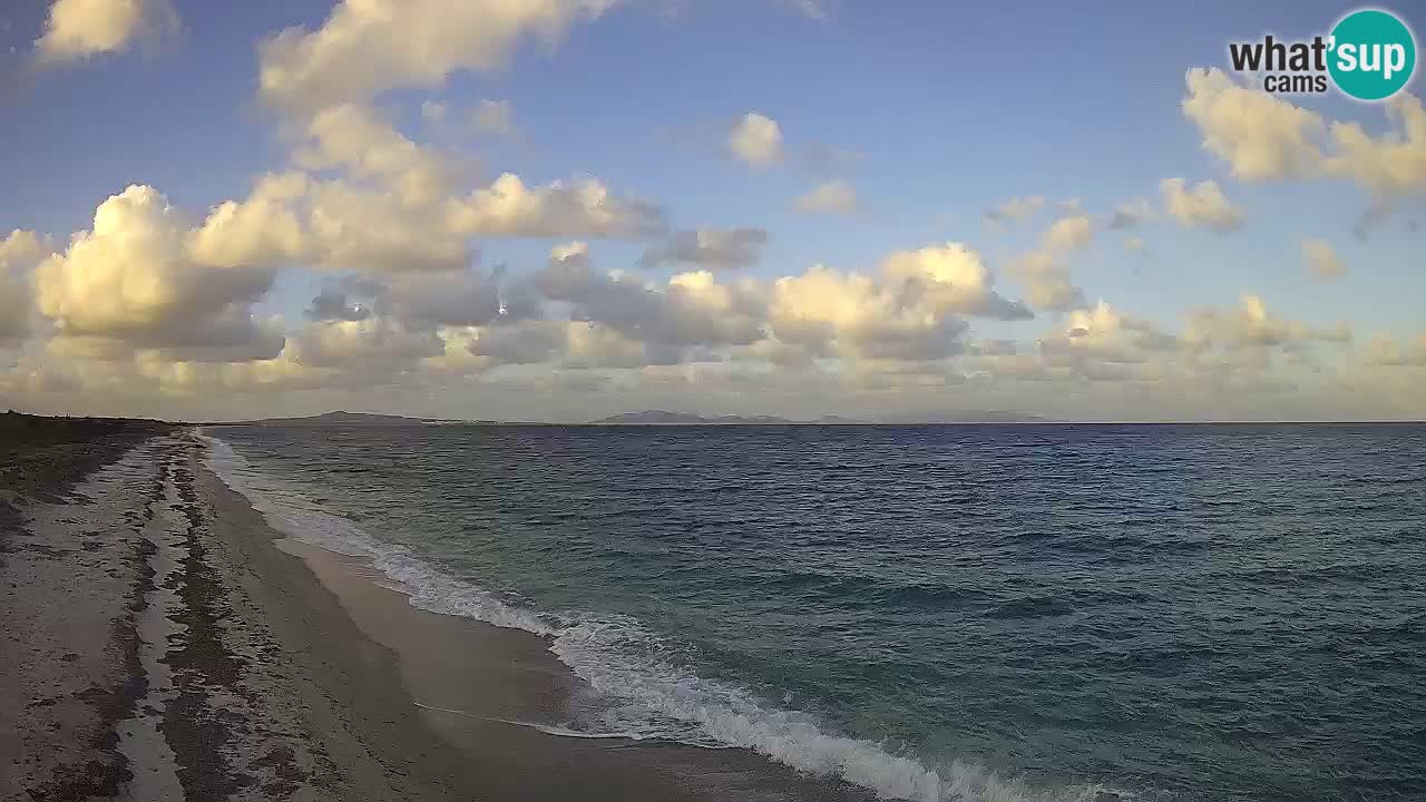 Spiaggia Le Saline webcam Stintino – Sardegna