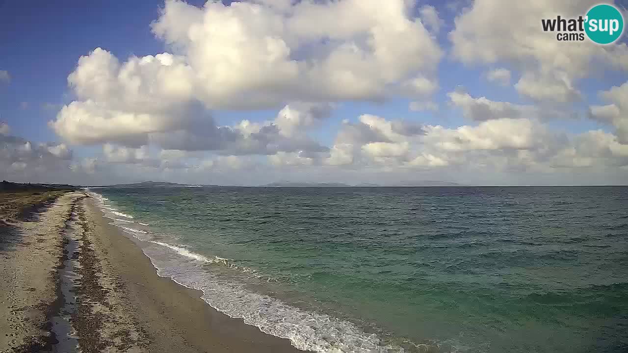 Playa Le Saline camera en vivo Stintino – Cerdeña