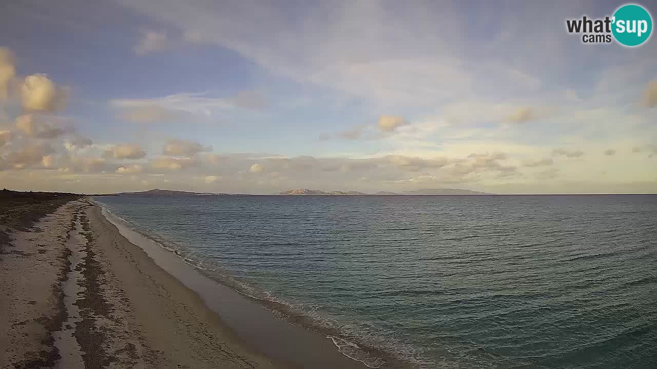 Plage Le Saline Live cam Stintino – Sardaigne