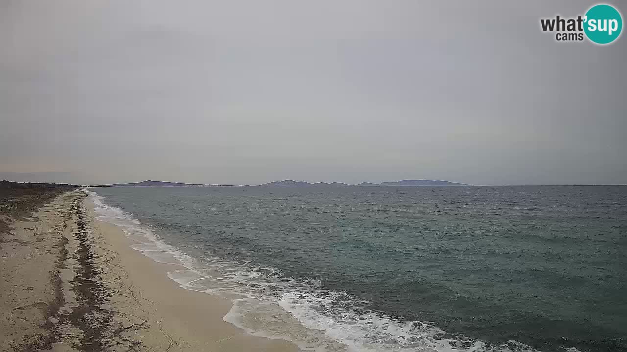 Plaža Le Saline web kamera Stintino – Sardinija