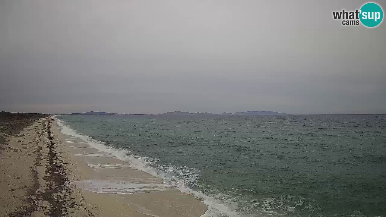 Strand Le Saline webcam Stintino – Sardinien
