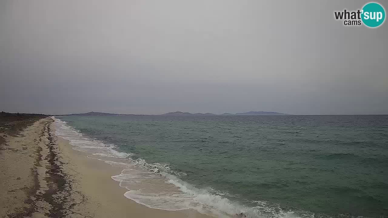 Spiaggia Le Saline webcam Stintino – Sardegna