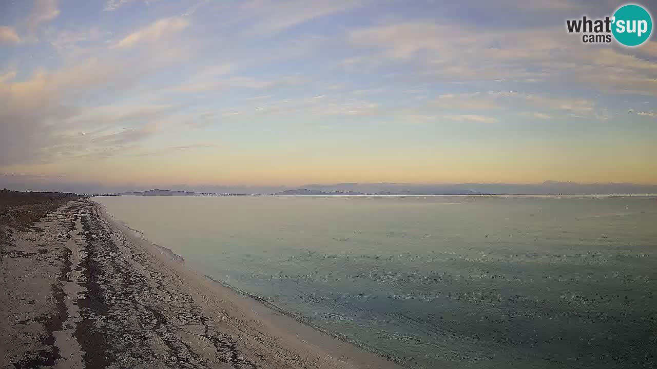 Beach Le Saline webcam live Stintino – Sardinia