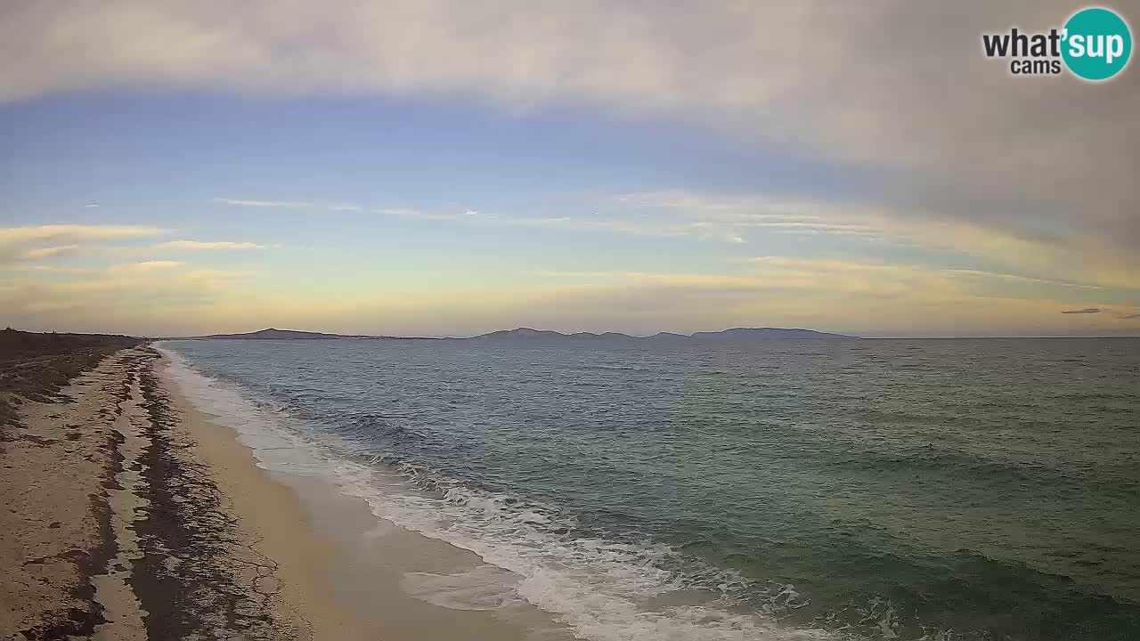 Playa Le Saline camera en vivo Stintino – Cerdeña