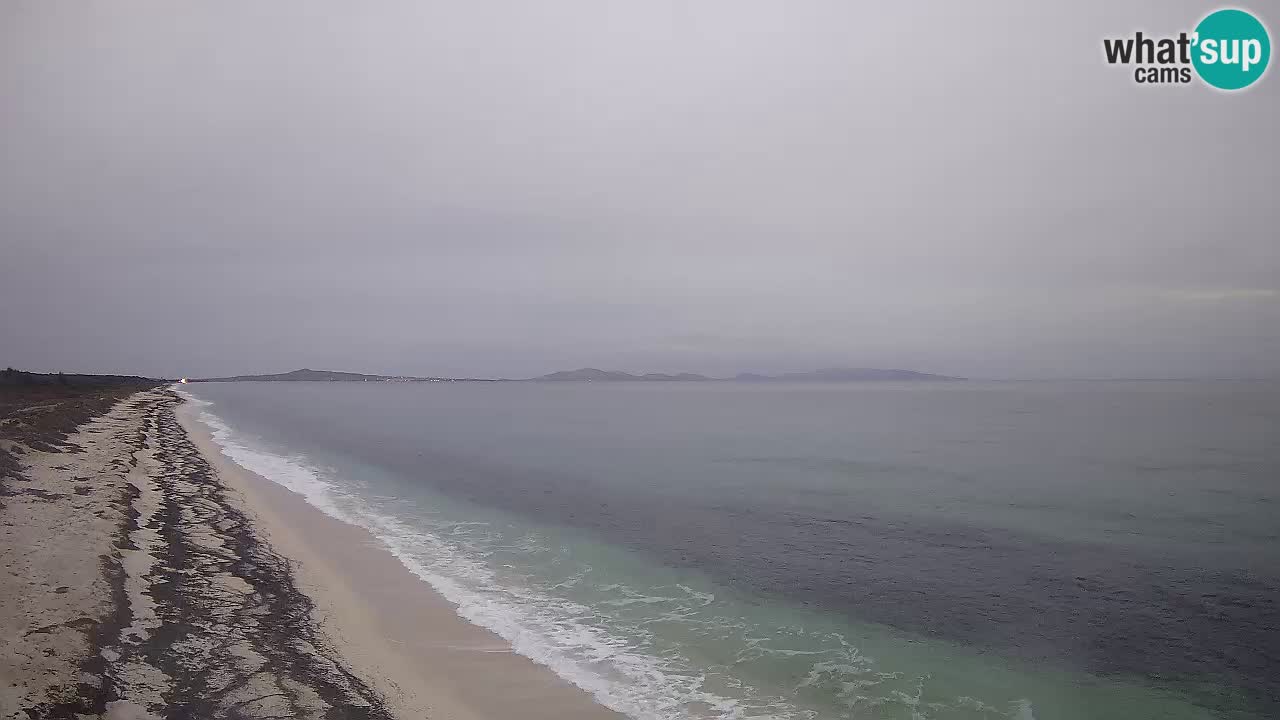 Strand Le Saline webcam Stintino – Sardinien