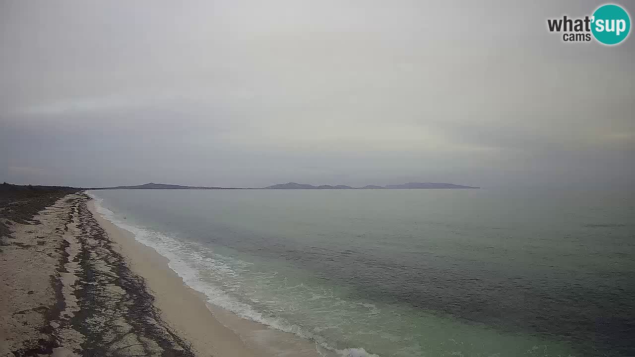 Spiaggia Le Saline webcam Stintino – Sardegna