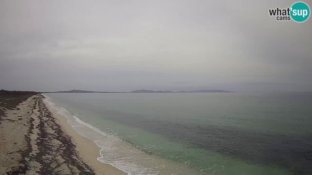 Plage Le Saline Live cam Stintino – Sardaigne