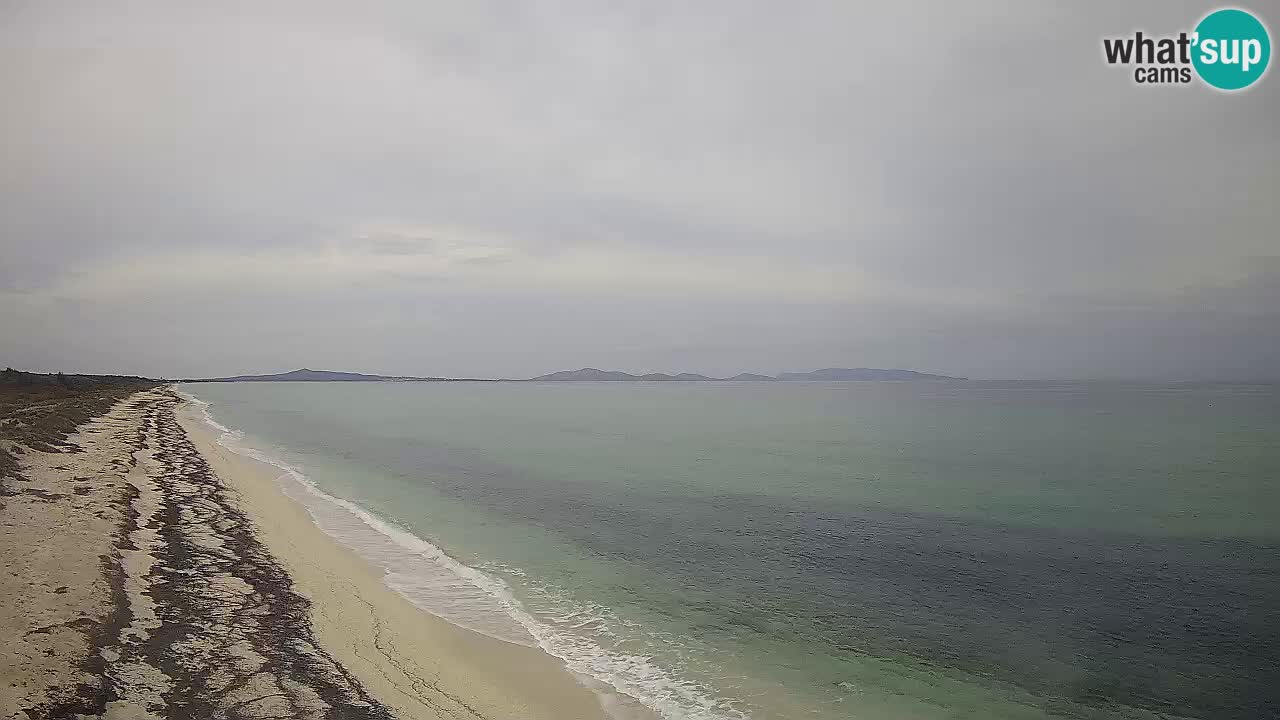 Playa Le Saline camera en vivo Stintino – Cerdeña