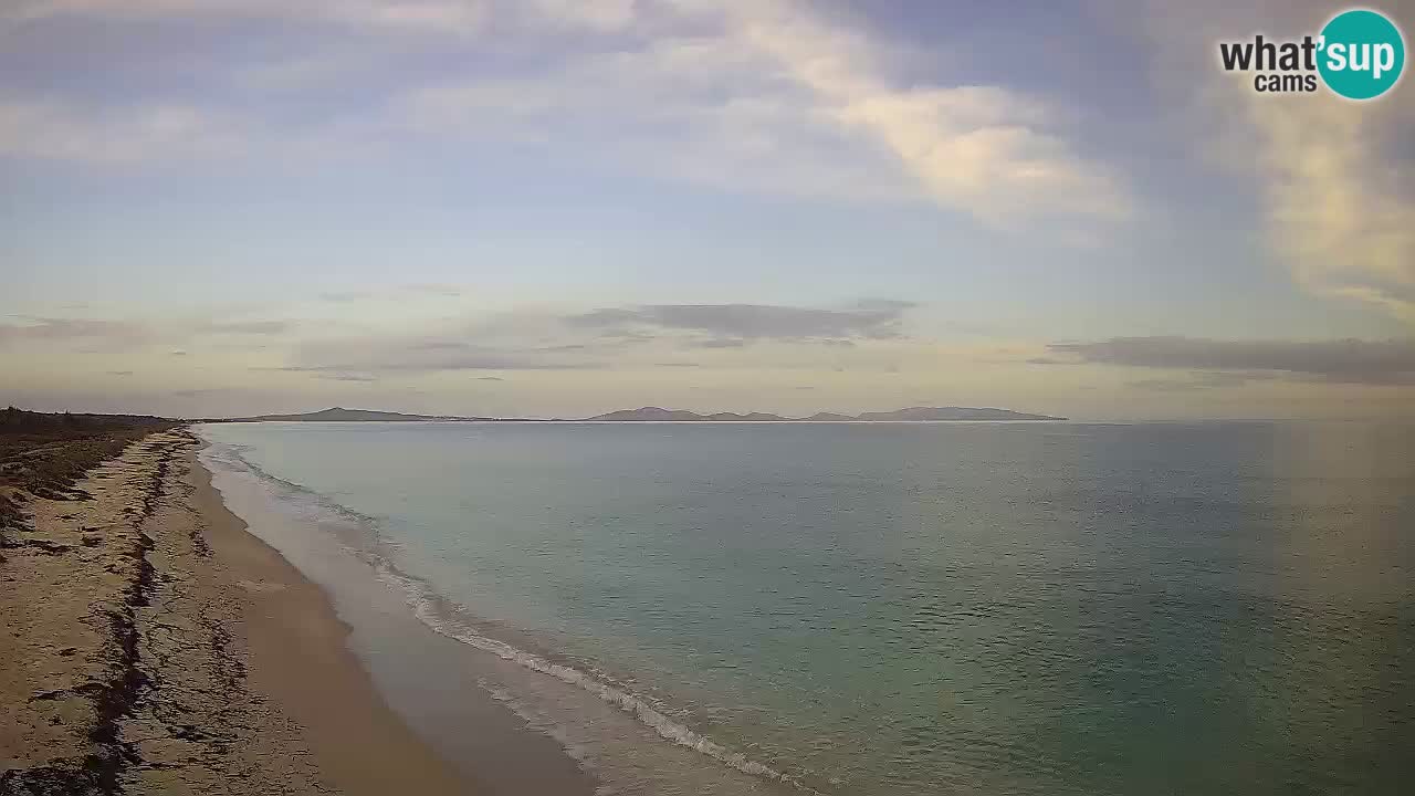 Plaža Le Saline web kamera Stintino – Sardinija