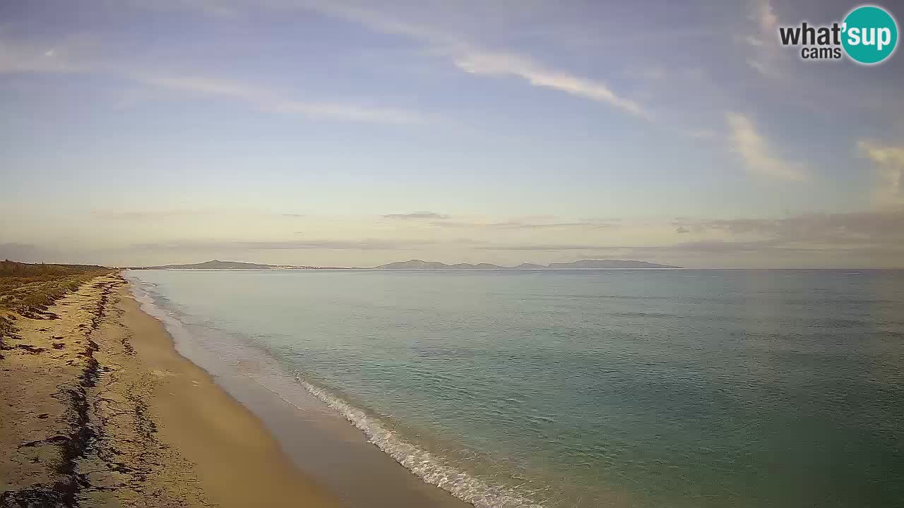 Plaža Le Saline web kamera Stintino – Sardinija