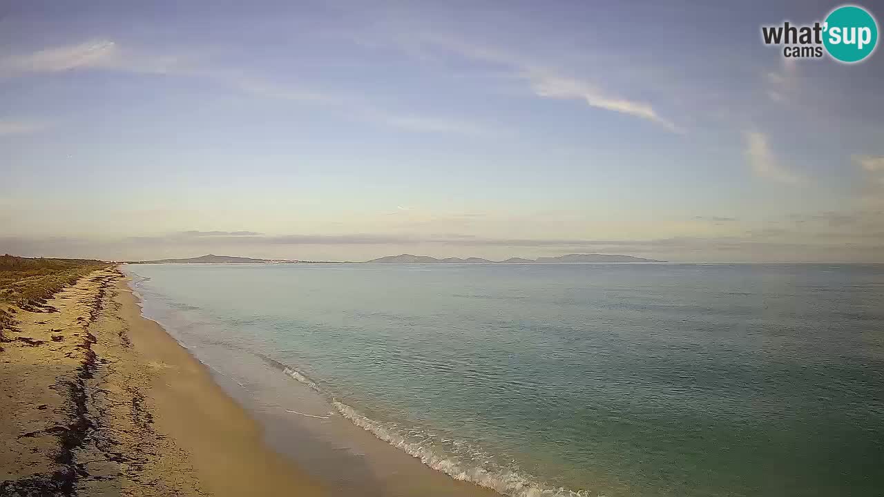 Strand Le Saline webcam Stintino – Sardinien