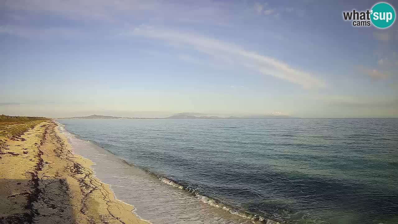 Strand Le Saline webcam Stintino – Sardinien