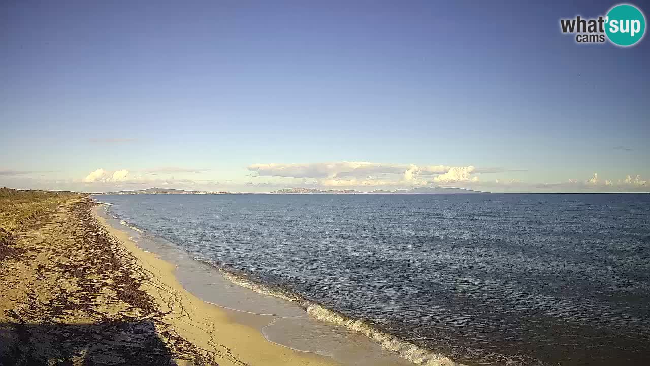 Beach Le Saline webcam live Stintino – Sardinia