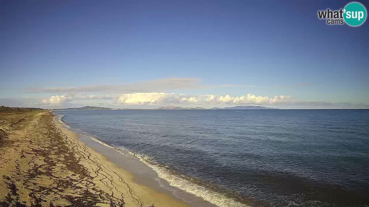 Beach Le Saline webcam live Stintino – Sardinia