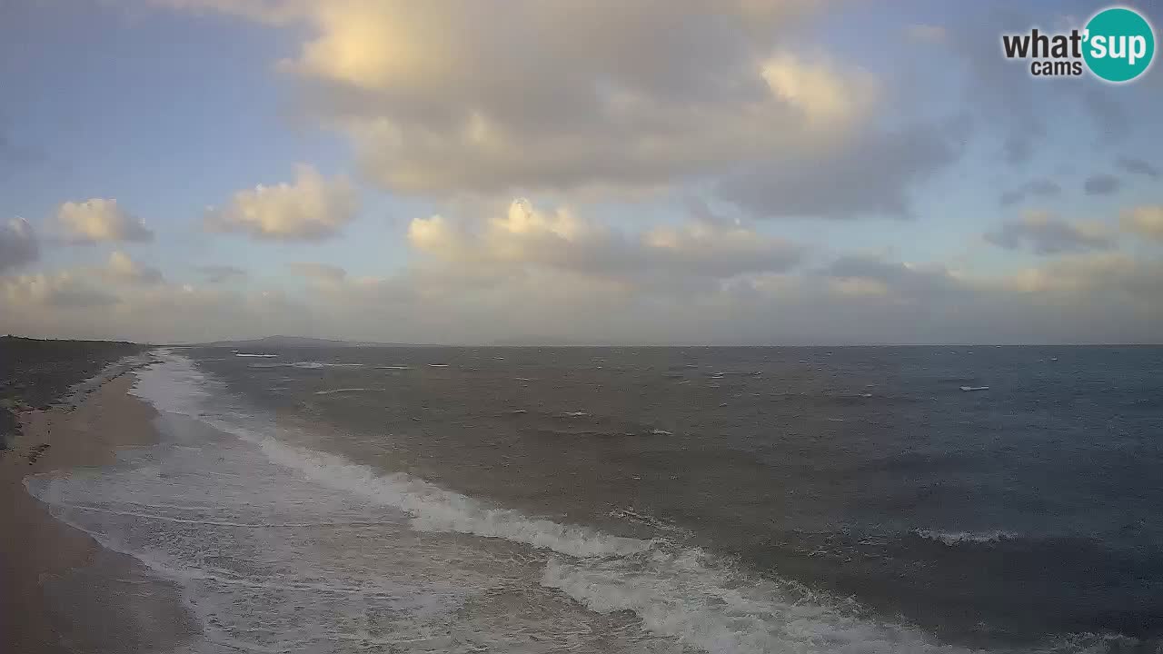 Beach Le Saline webcam live Stintino – Sardinia