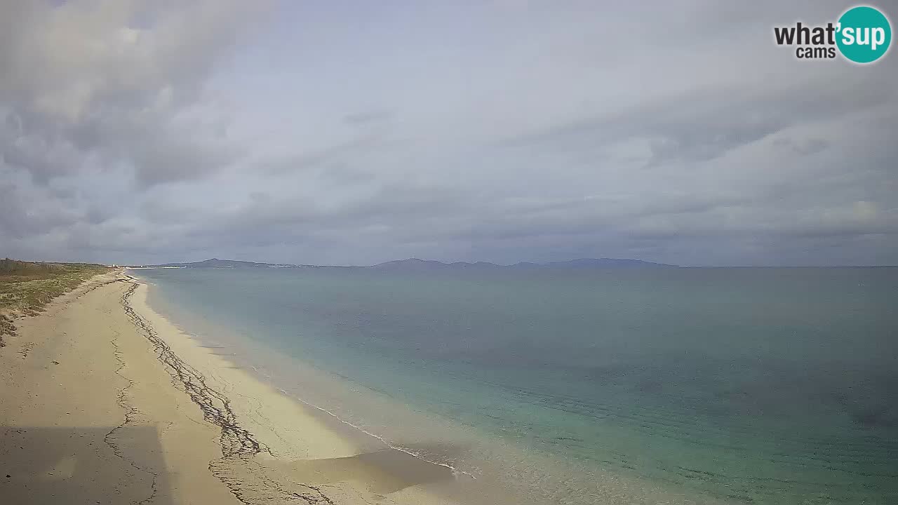 Spiaggia Le Saline webcam Stintino – Sardegna