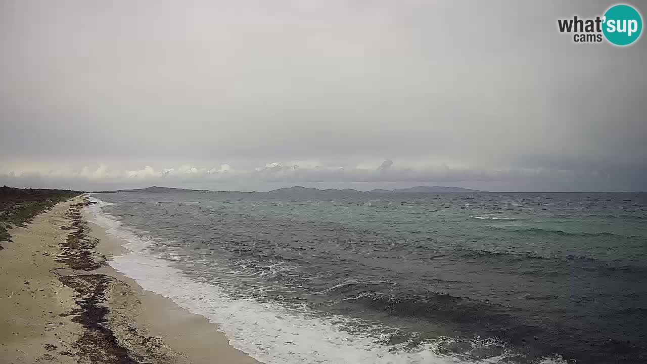 Playa Le Saline camera en vivo Stintino – Cerdeña