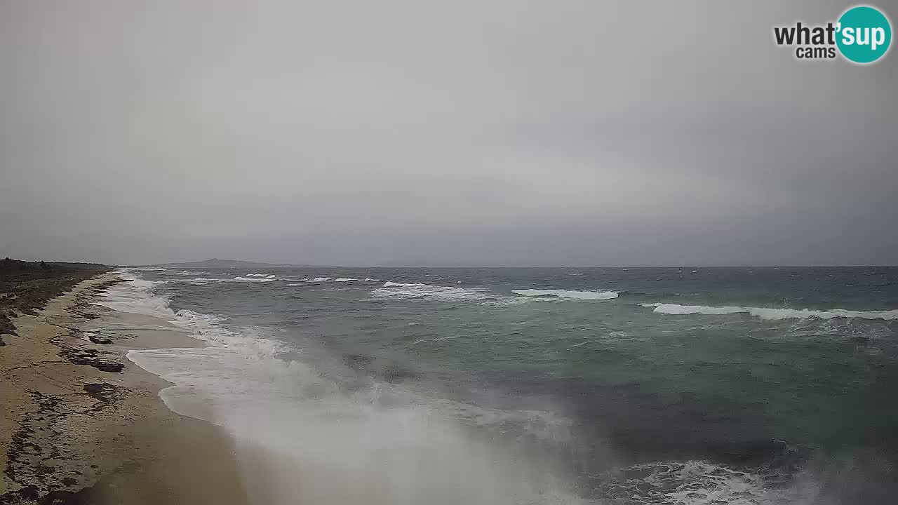 Spiaggia Le Saline webcam Stintino – Sardegna