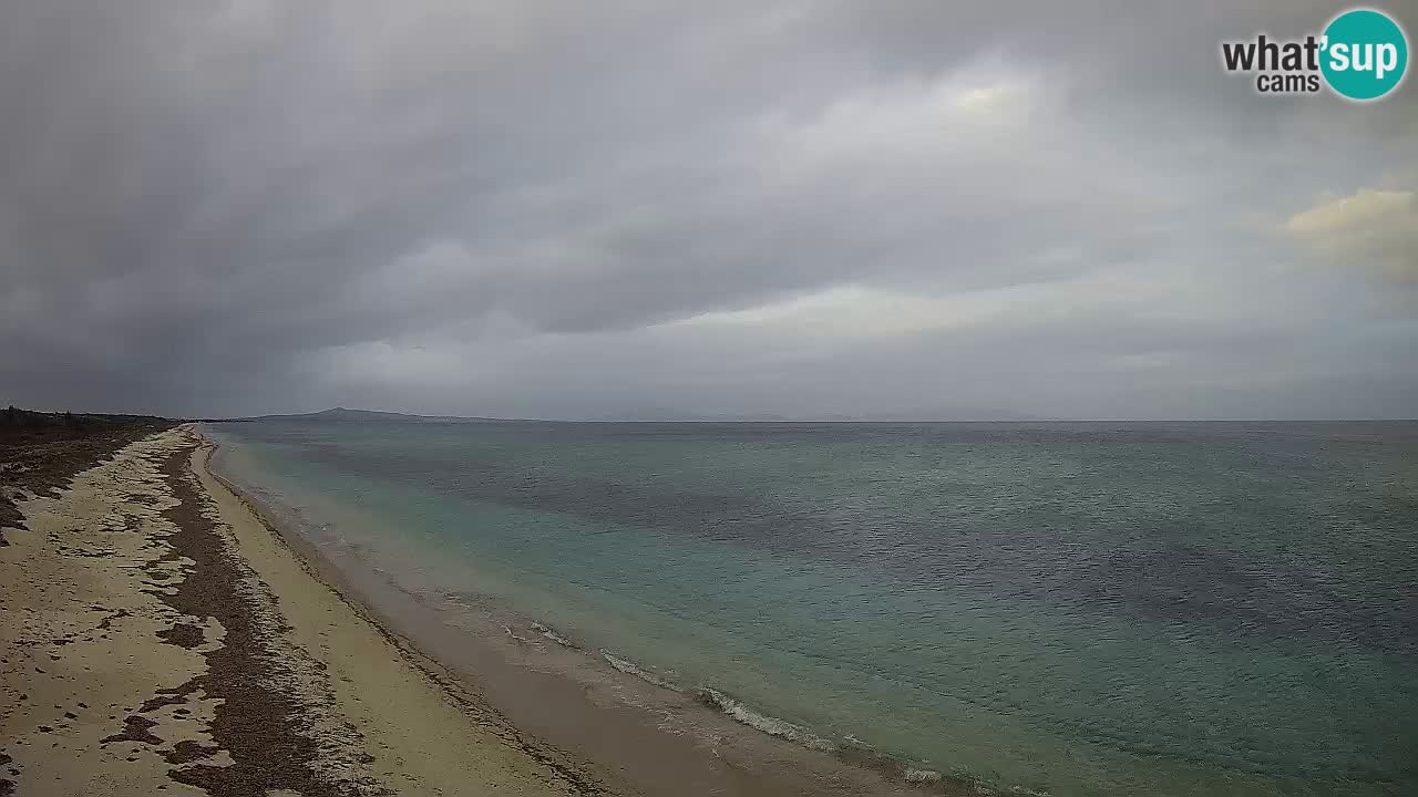 Plage Le Saline Live cam Stintino – Sardaigne