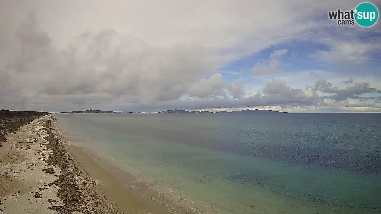 Plage Le Saline Live cam Stintino – Sardaigne
