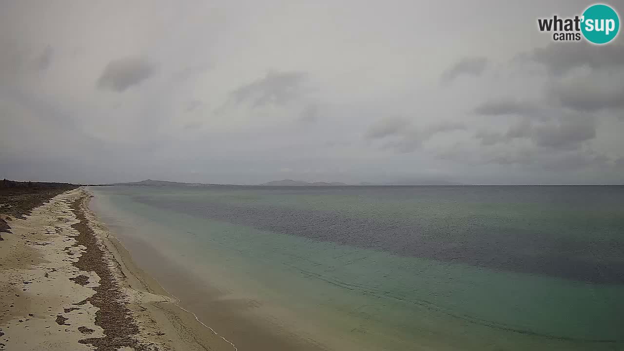 Playa Le Saline camera en vivo Stintino – Cerdeña