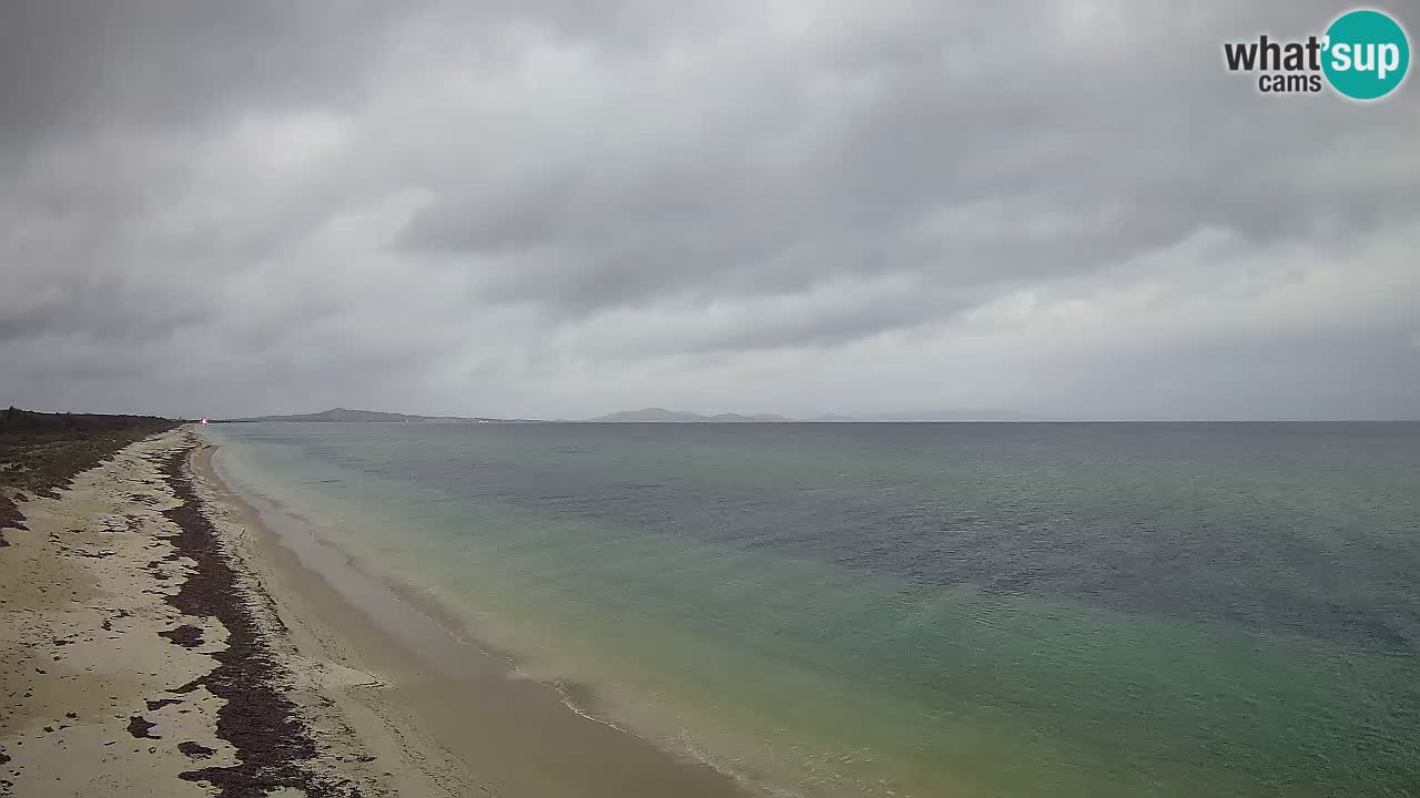 Strand Le Saline webcam Stintino – Sardinien