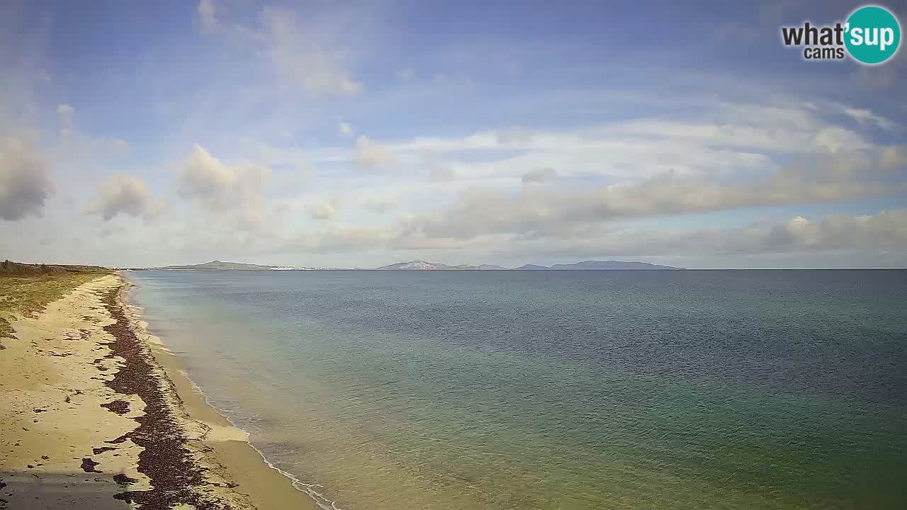 Beach Le Saline webcam live Stintino – Sardinia