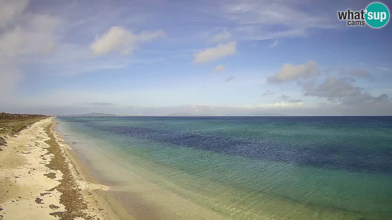 Beach Le Saline webcam live Stintino – Sardinia
