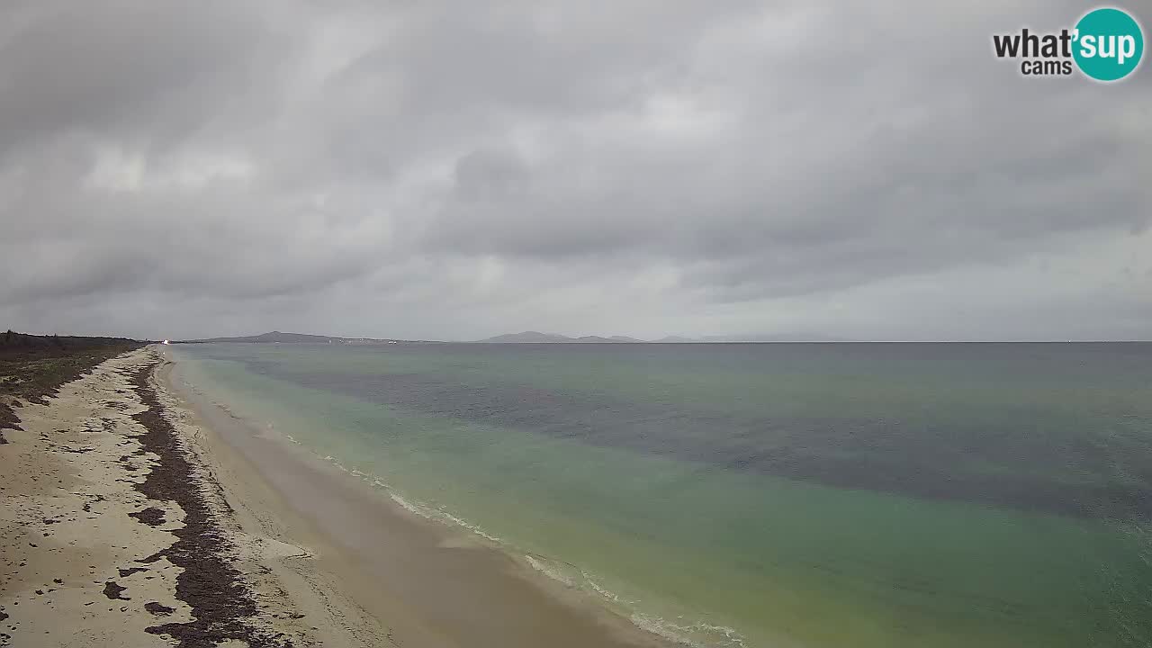 Plaža Le Saline spletna kamera Stintino – Sardinija