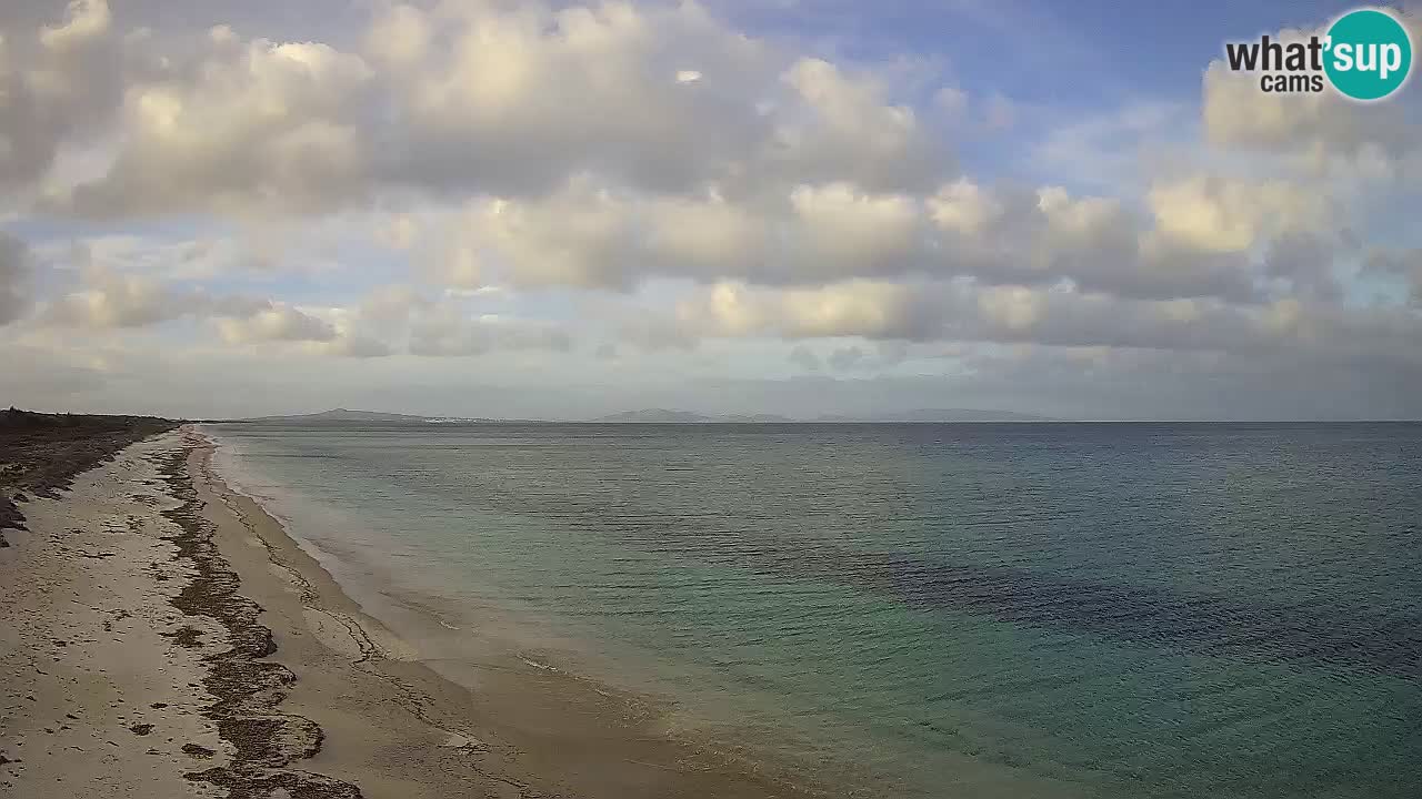 Plaža Le Saline web kamera Stintino – Sardinija