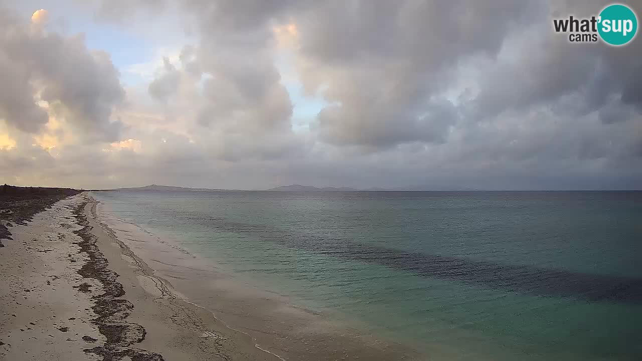 Plaža Le Saline web kamera Stintino – Sardinija