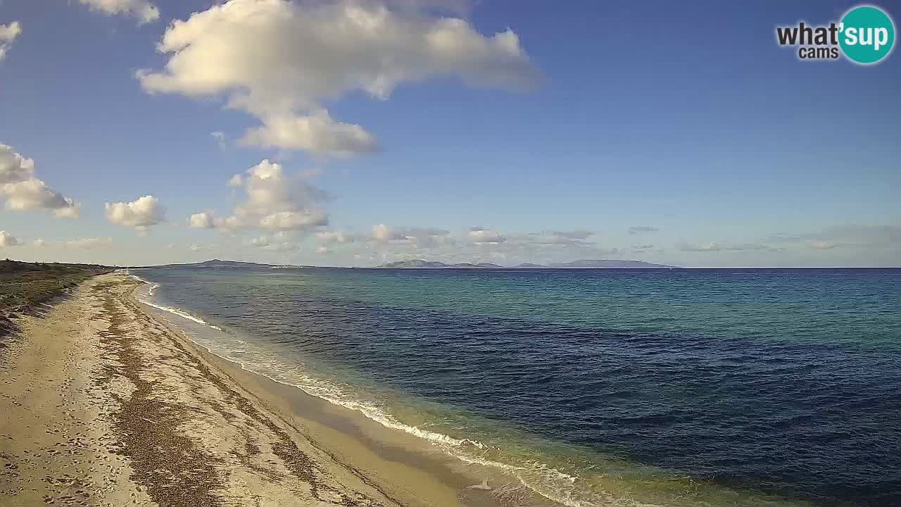 Spiaggia Le Saline webcam Stintino – Sardegna