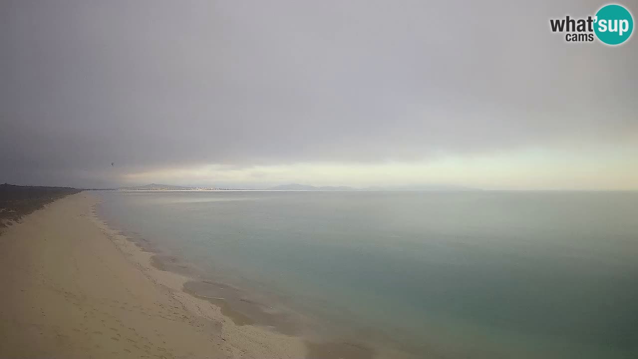 Playa Le Saline camera en vivo Stintino – Cerdeña