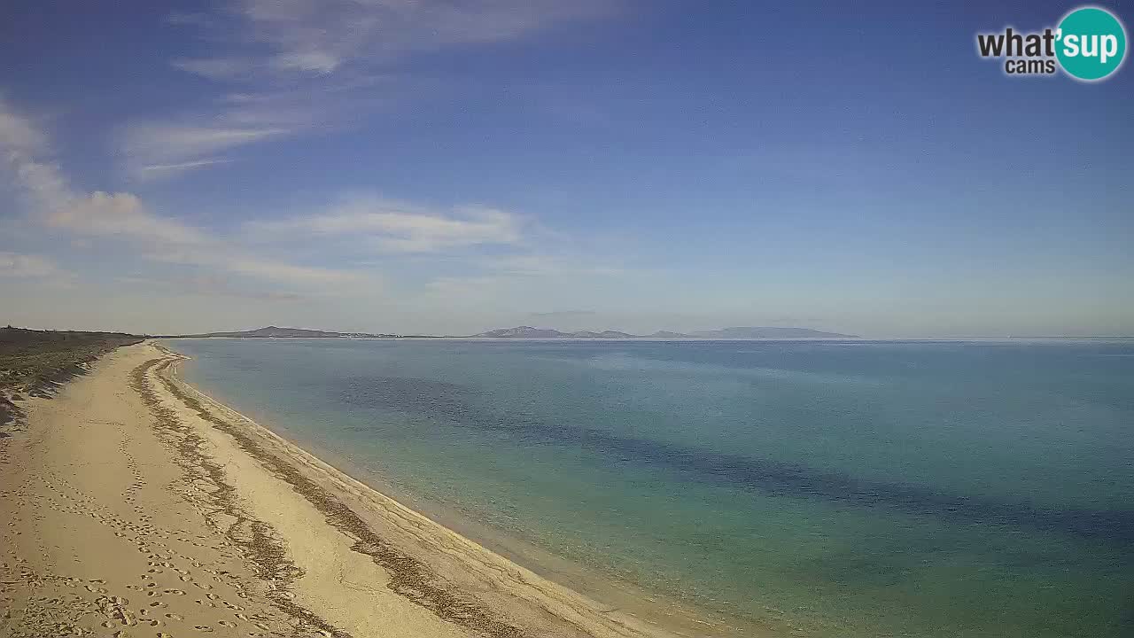 Strand Le Saline webcam Stintino – Sardinien