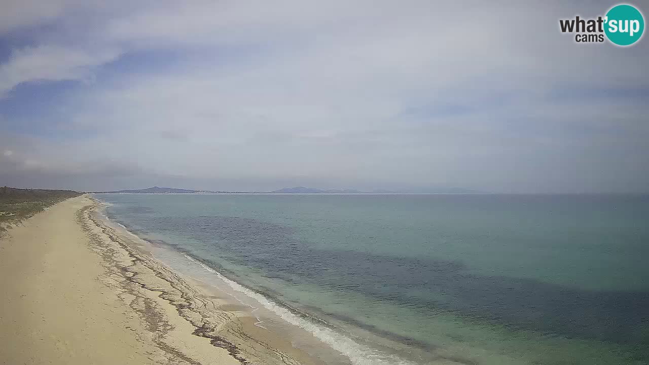Plaža Le Saline web kamera Stintino – Sardinija