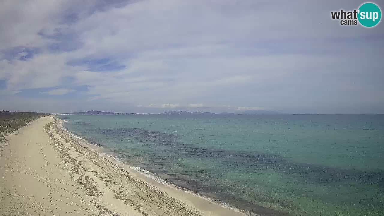 Spiaggia Le Saline webcam Stintino – Sardegna