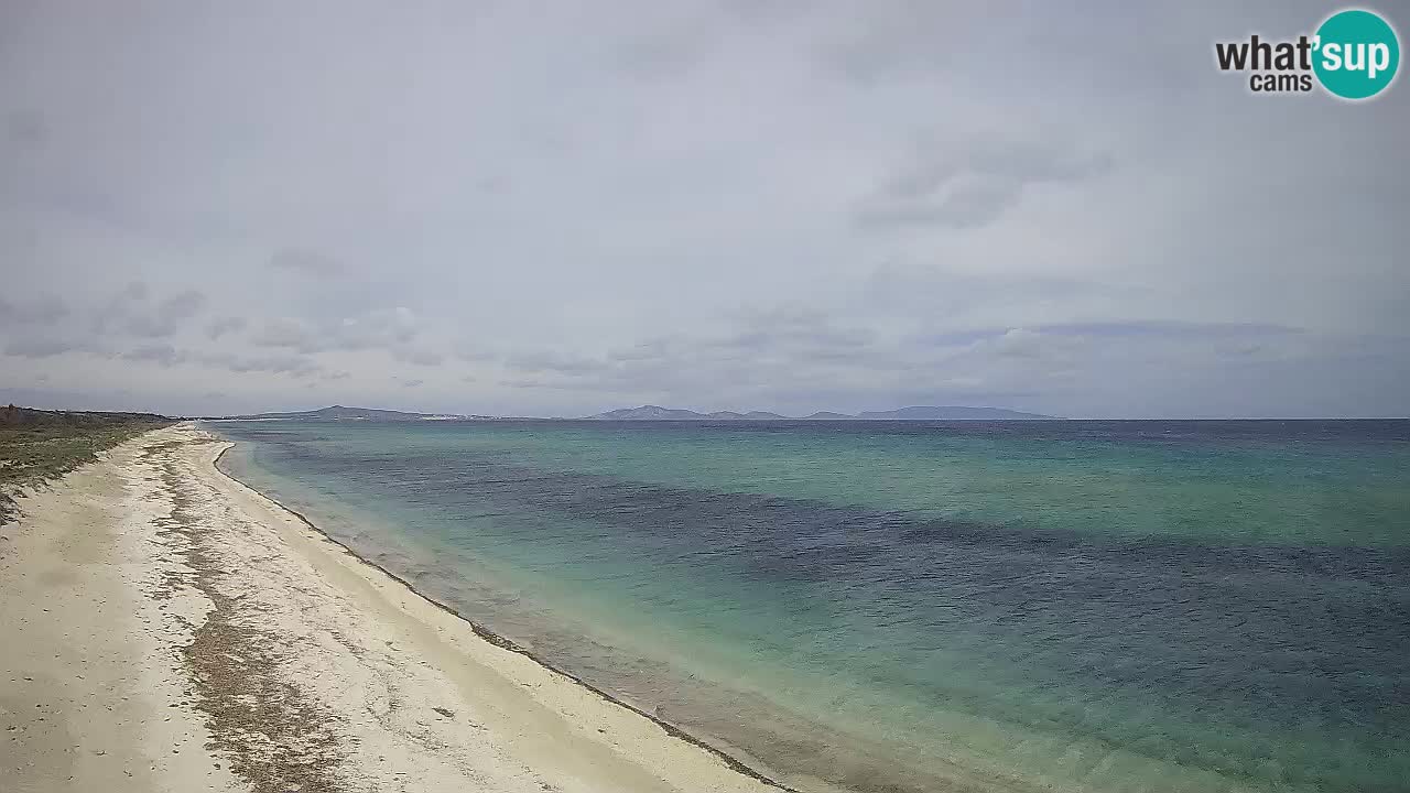 Strand Le Saline webcam Stintino – Sardinien