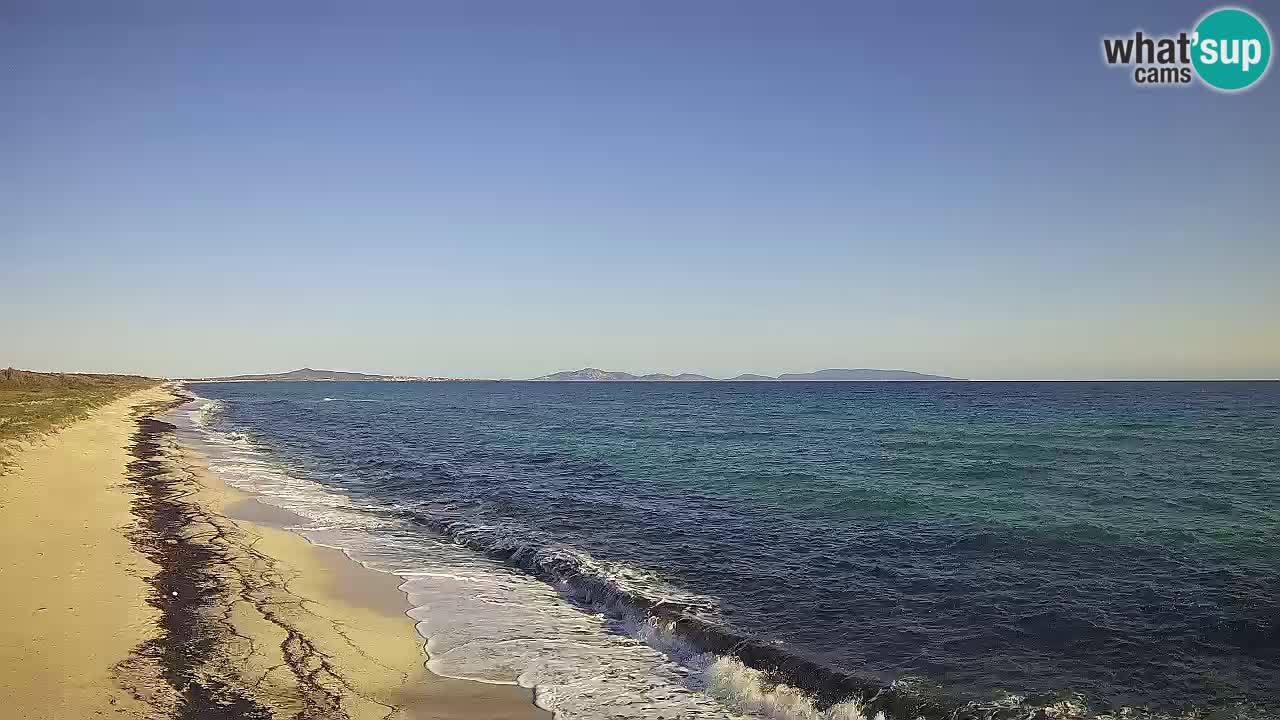 Playa Le Saline camera en vivo Stintino – Cerdeña
