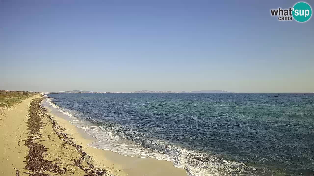 Beach Le Saline webcam live Stintino – Sardinia