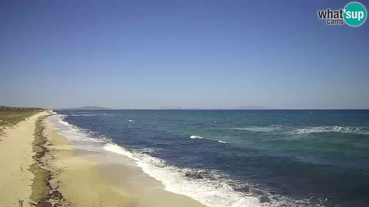 Strand Le Saline webcam Stintino – Sardinien