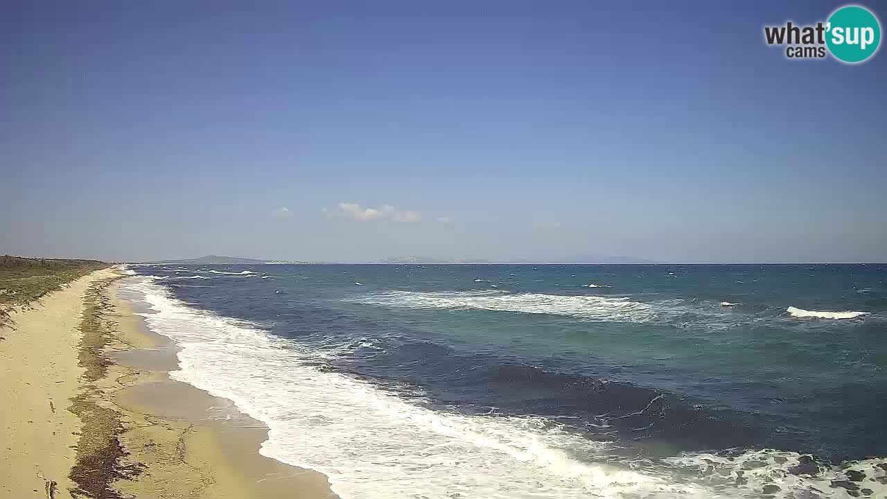 Plage Le Saline Live cam Stintino – Sardaigne