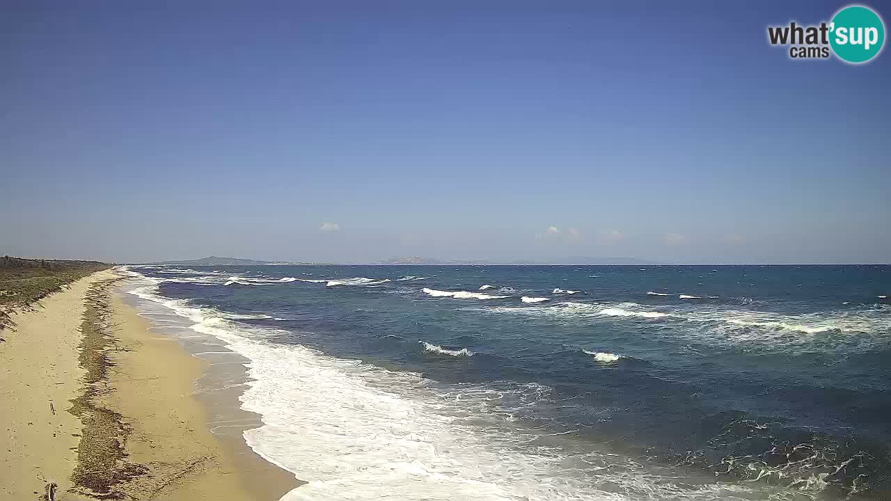 Plaža Le Saline web kamera Stintino – Sardinija