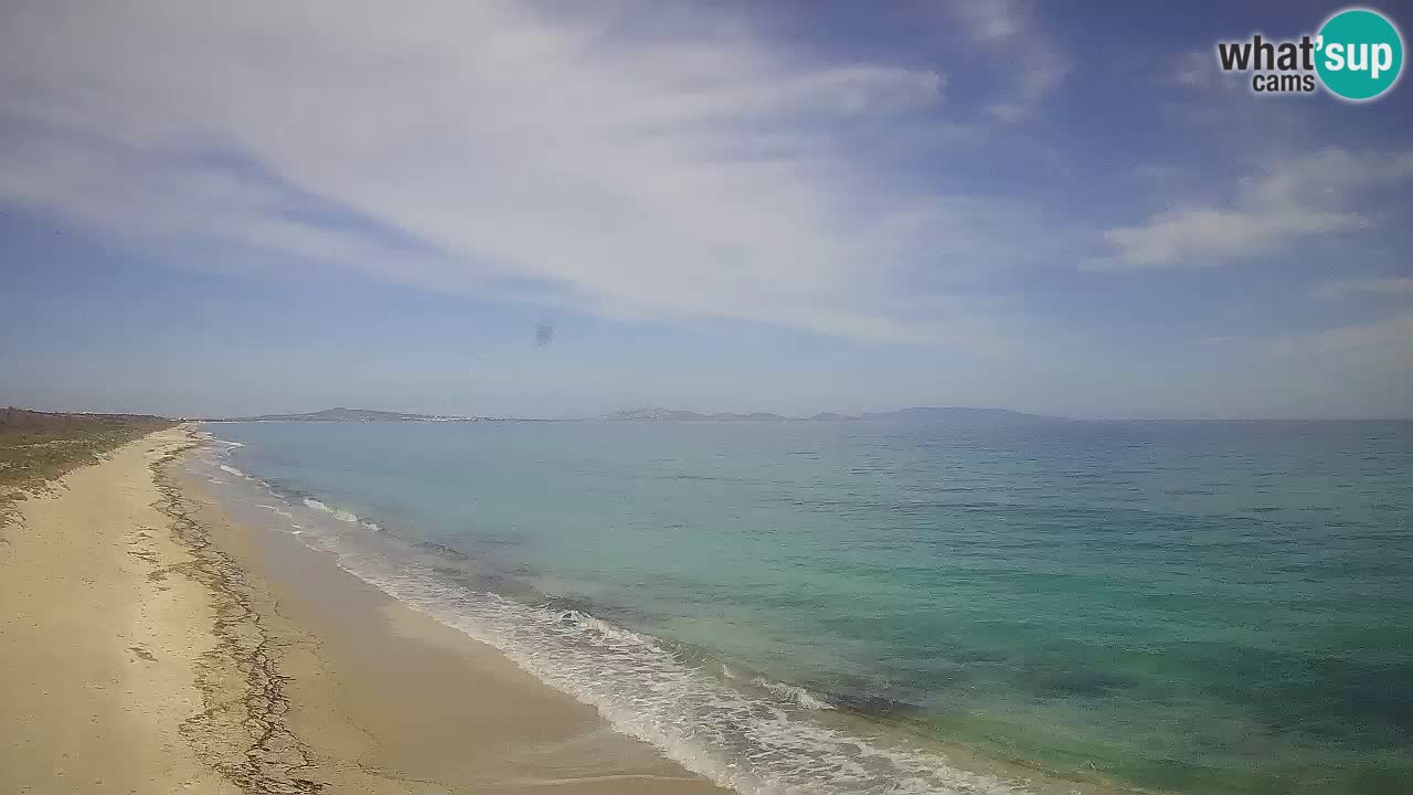 Plage Le Saline Live cam Stintino – Sardaigne