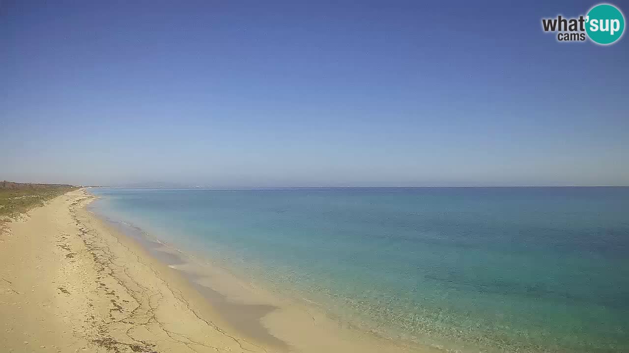 Spiaggia Le Saline webcam Stintino – Sardegna