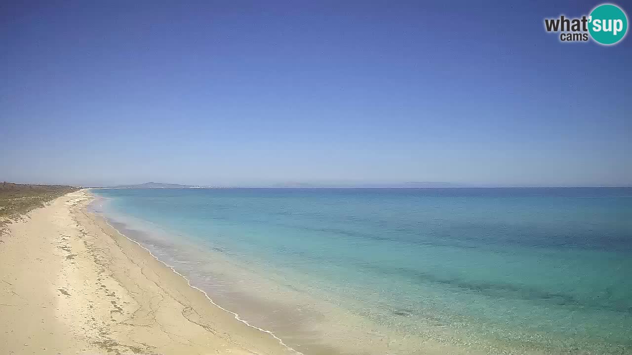 Plaža Le Saline web kamera Stintino – Sardinija