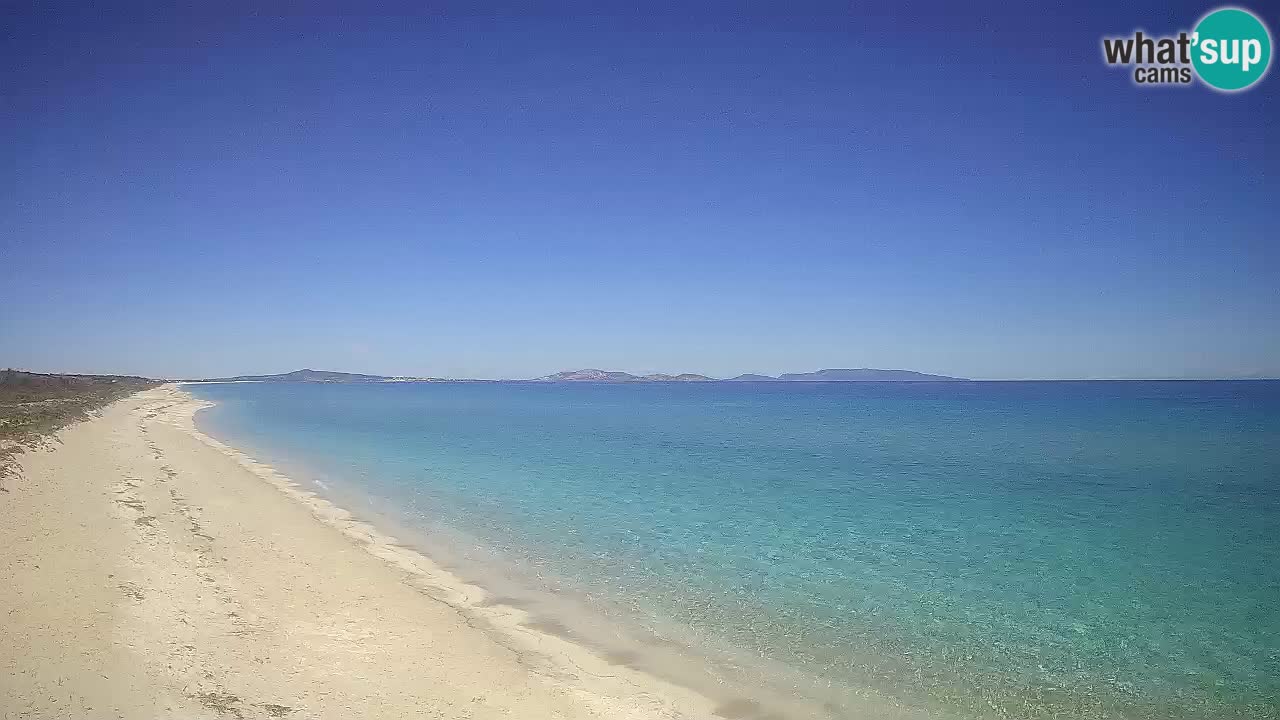 Playa Le Saline camera en vivo Stintino – Cerdeña