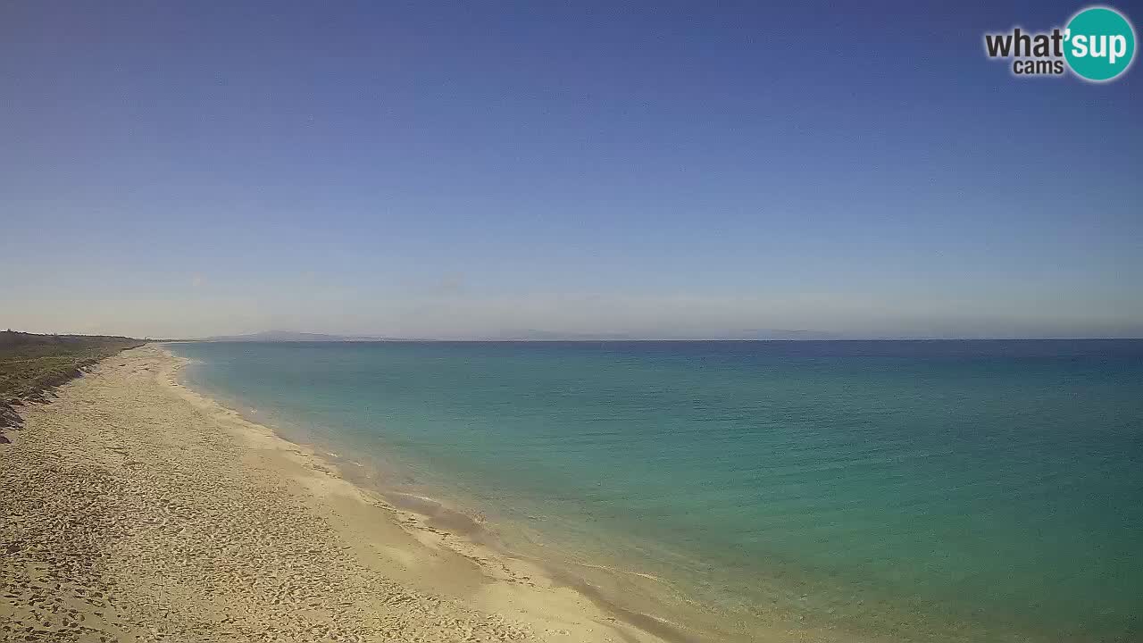 Beach Le Saline webcam live Stintino – Sardinia
