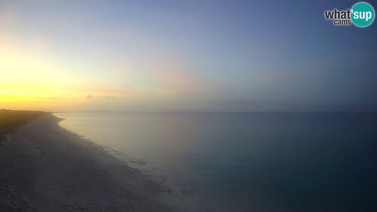 Plaža Le Saline web kamera Stintino – Sardinija