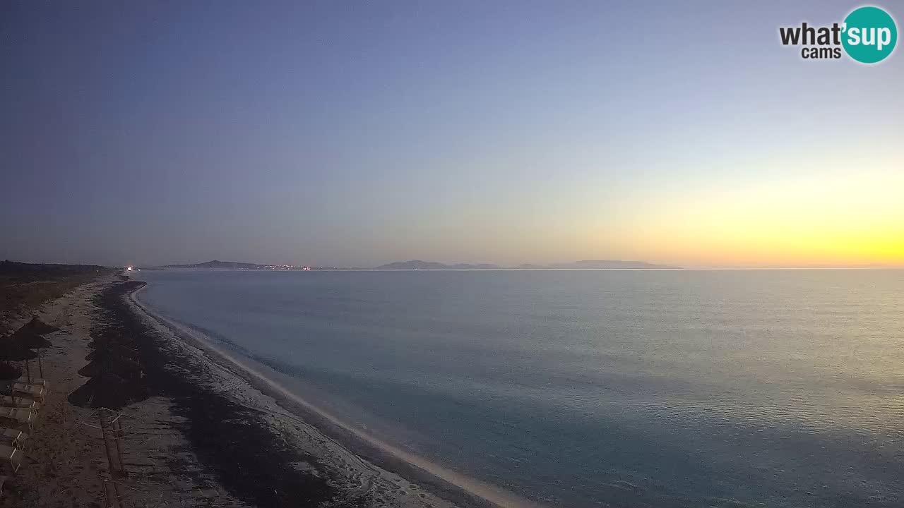 Plaža Le Saline spletna kamera Stintino – Sardinija